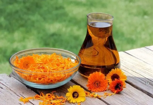 óleo calendula saúde cosméticos pele