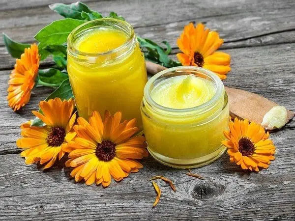 óleo calendula saúde cosméticos pele