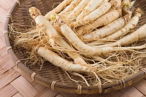 ginseng saúde dieta corpo pele coração 