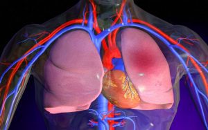 O que é enfisema? Enfisema é um tipo de doença pulmonar obstrutiva crônica (DPOC) onde os tecidos pulmonares ficam danificados e esticados