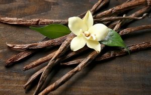 óleo essencial de baunilha aromaterapia saúde beleza