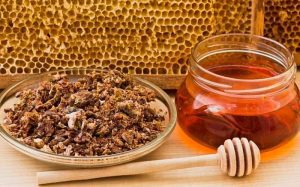 propólis Antiinflamatório saúde dieta abelha mel